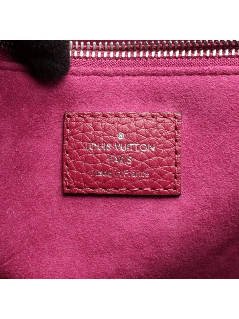 Louis Vuitton Volta Parnascea 2-Way Purple Handbag